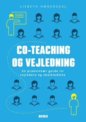 Co-teaching og vejledning E-bog