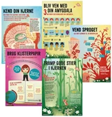 Plakater til Hjernesmart pædagogik